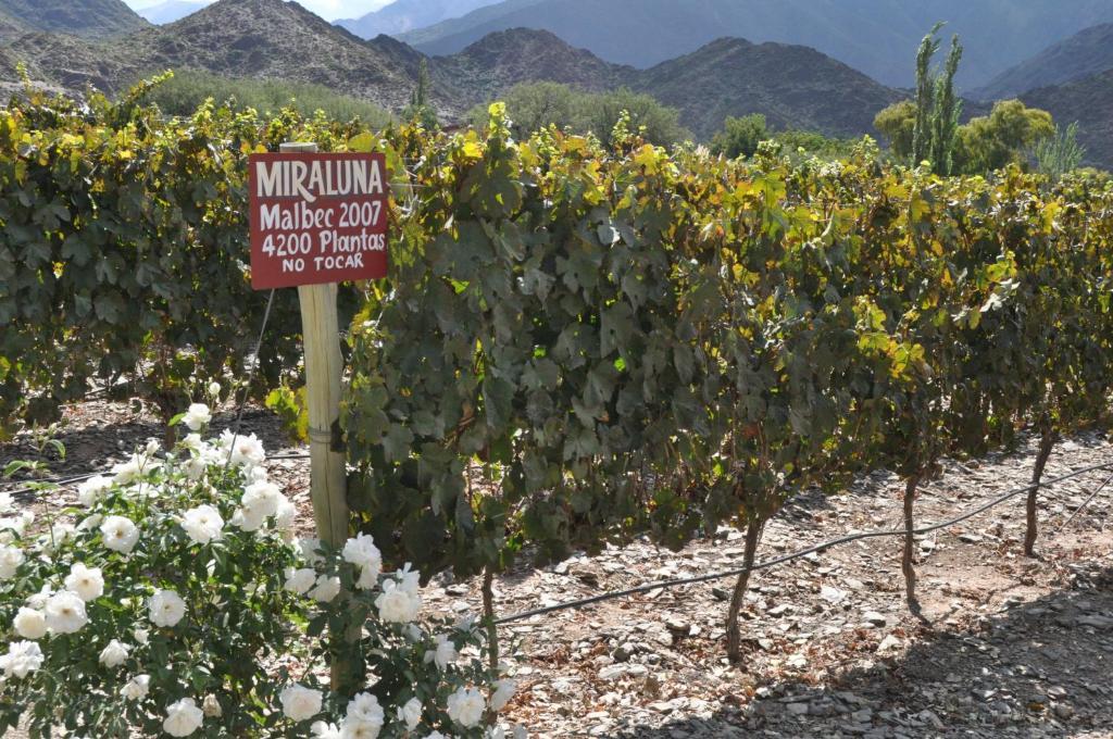 Miraluna Bodega Boutique Cachí Dış mekan fotoğraf