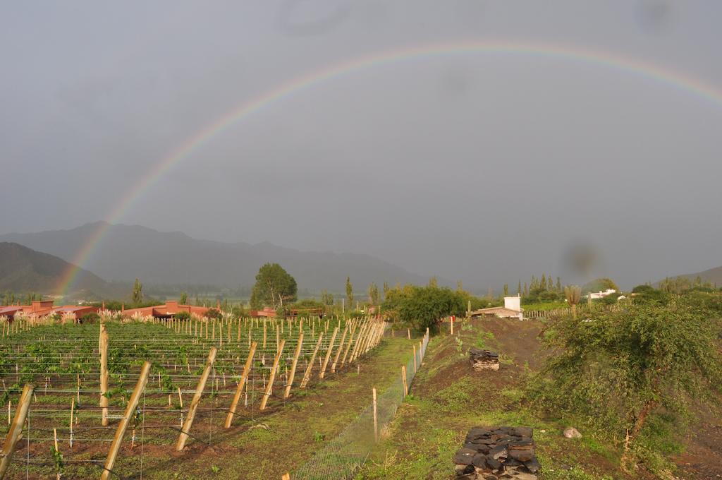 Miraluna Bodega Boutique Cachí Dış mekan fotoğraf