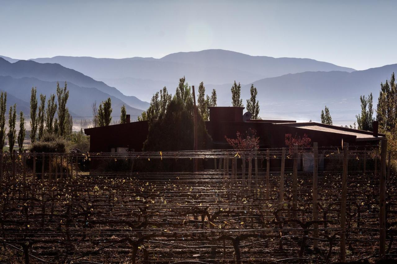 Miraluna Bodega Boutique Cachí Dış mekan fotoğraf