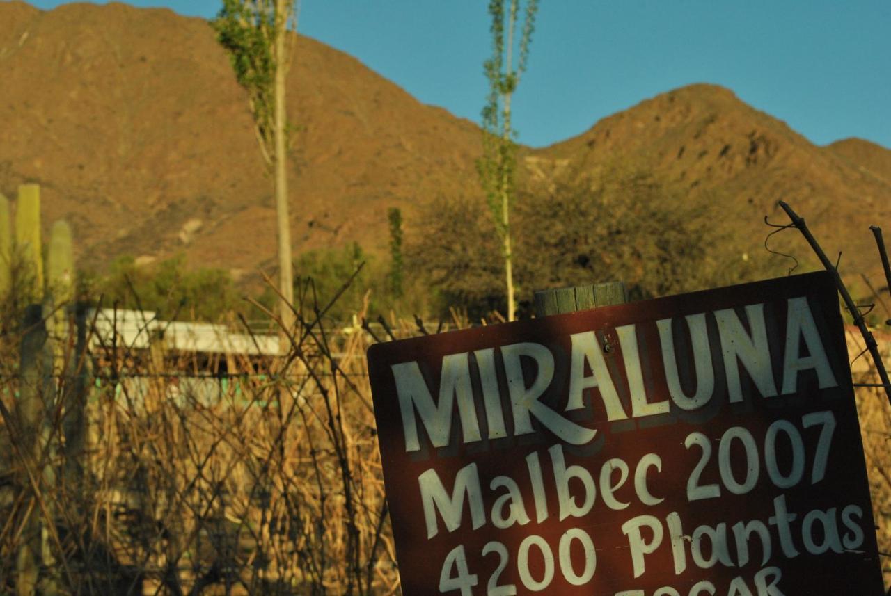 Miraluna Bodega Boutique Cachí Dış mekan fotoğraf